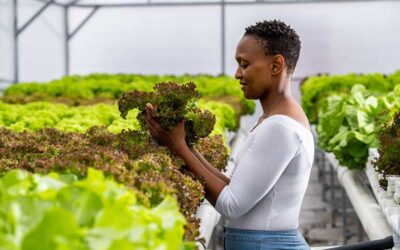 A Redhill Collaboration – A Story Of Sustainability, Environmental Consciousness And Social Upliftment